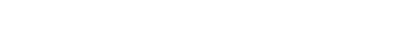 DANIEL SCHULZ CONSULTING Logo